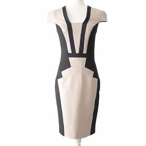Dorothy Perkins sheath dress